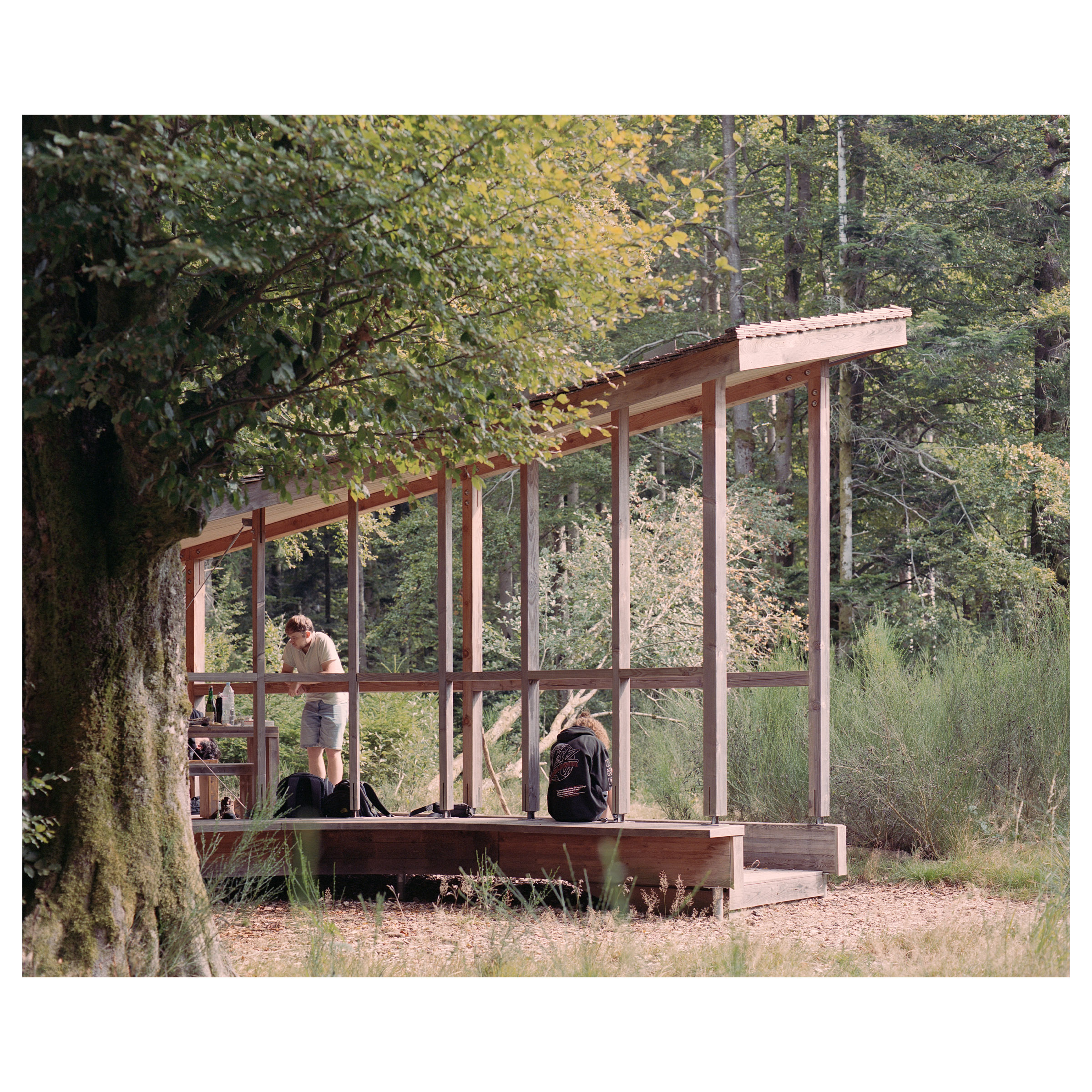 Photographie argentique de l'abris de randonnée au Donon, construit à la mémoire de Jean Maegey. Auvent qui s'élève dans la forêt © Guillaume Porche