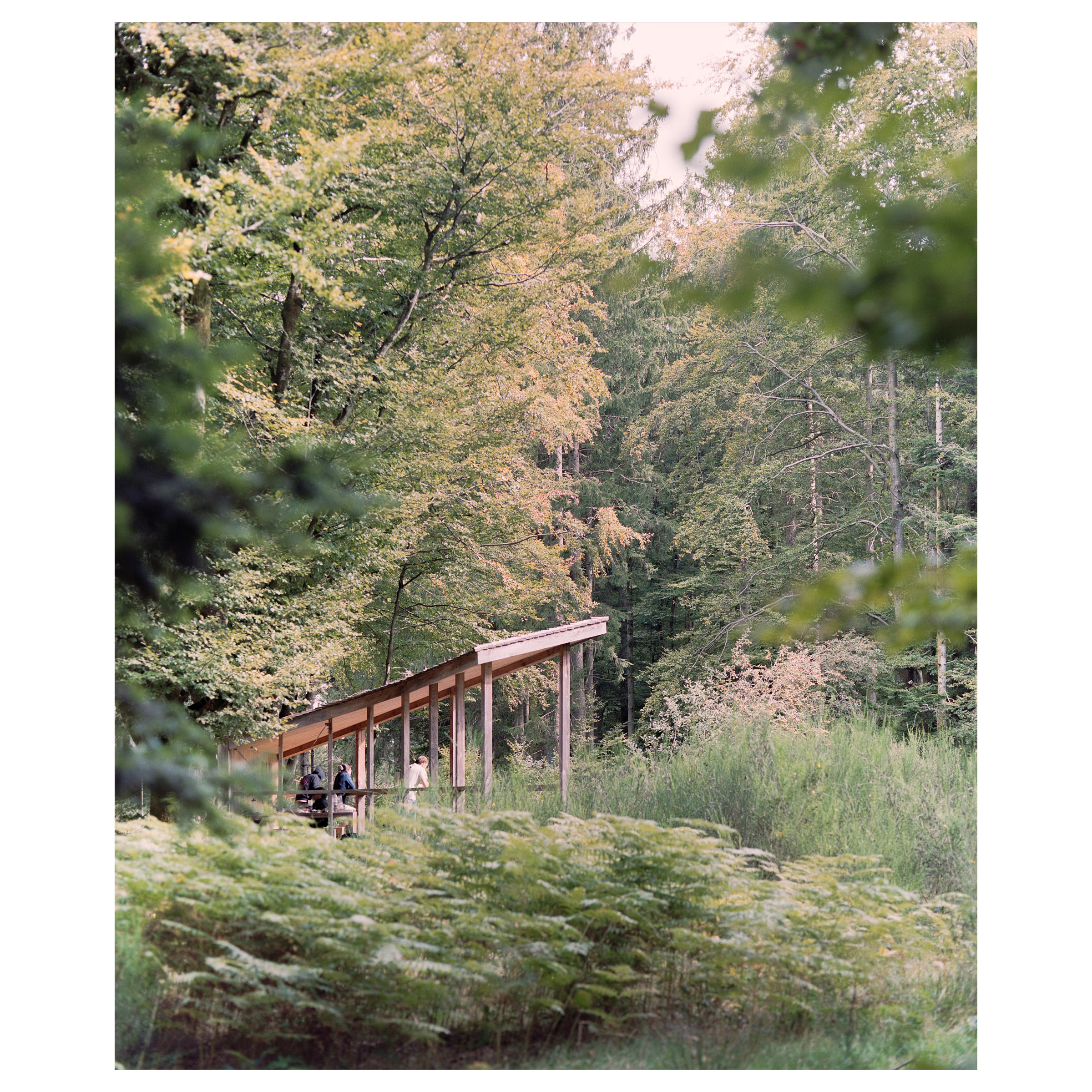 Photographie argentique de l'abris de randonnée au Donon, construit à la mémoire de Jean Maegey. Contexte lointain © Guillaume Porche