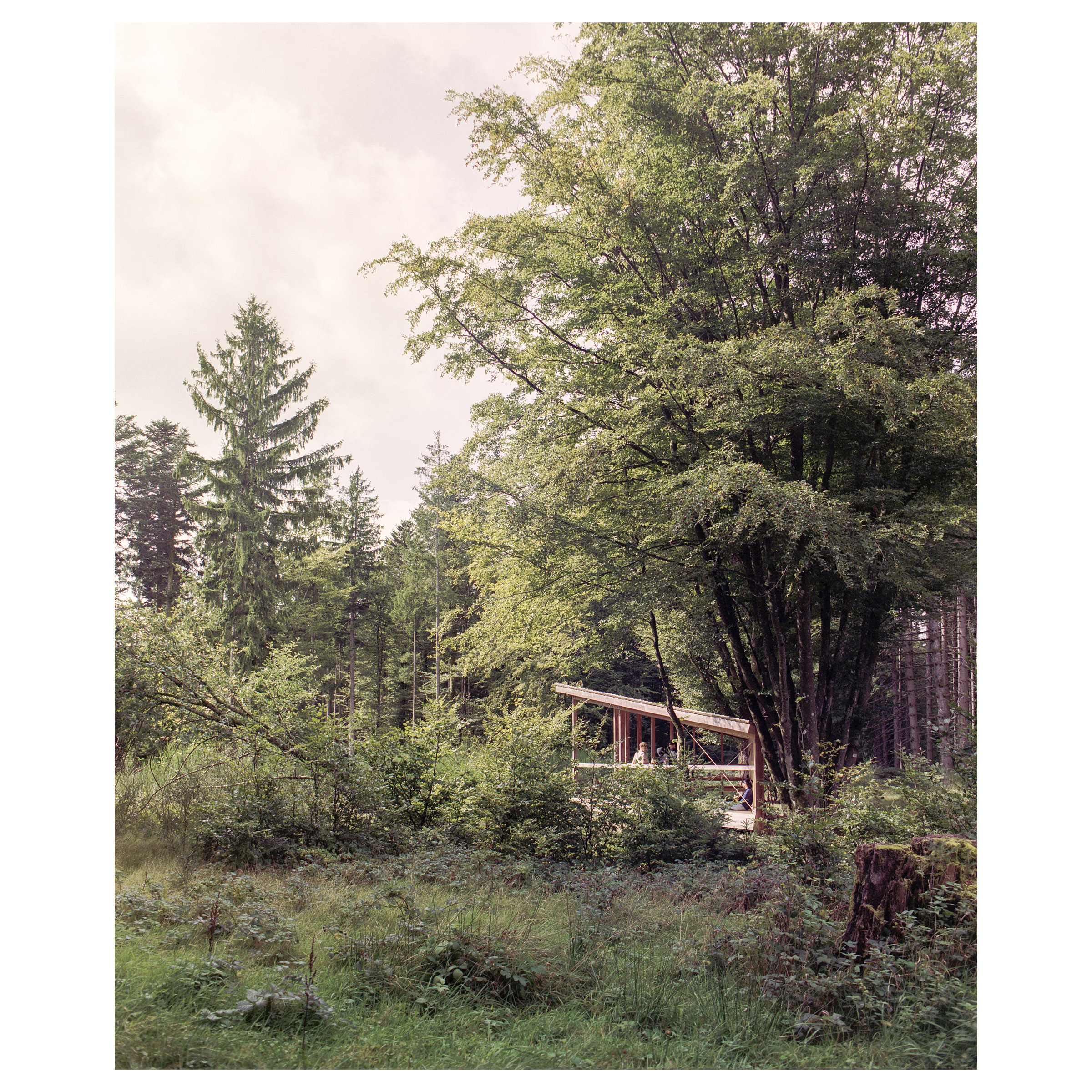 Photographie argentique de l'abris de randonnée au Donon, construit à la mémoire de Jean Maegey. Contexte lointain © Guillaume Porche