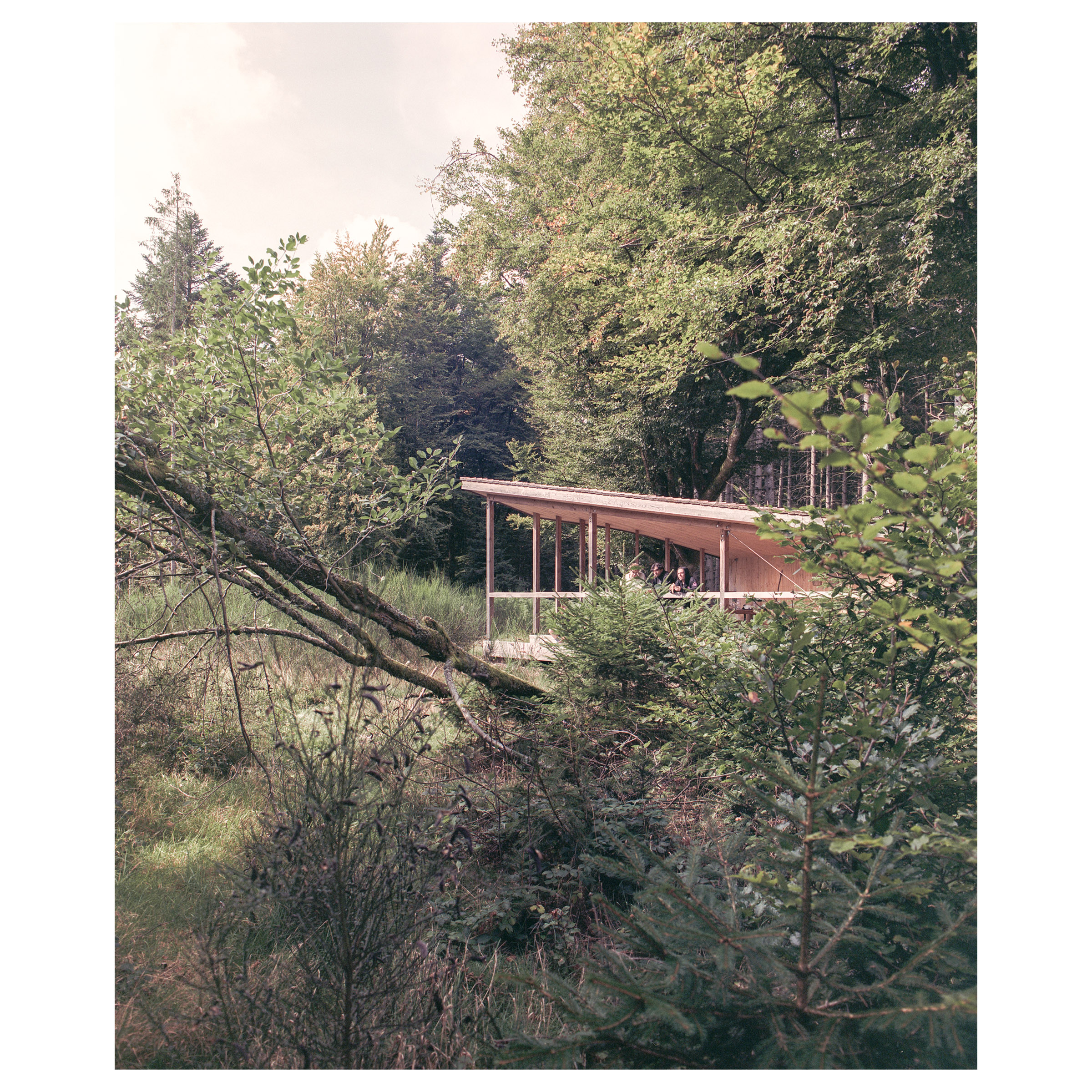 Photographie argentique de l'abris de randonnée au Donon, construit à la mémoire de Jean Maegey. Contexte lointain © Guillaume Porche