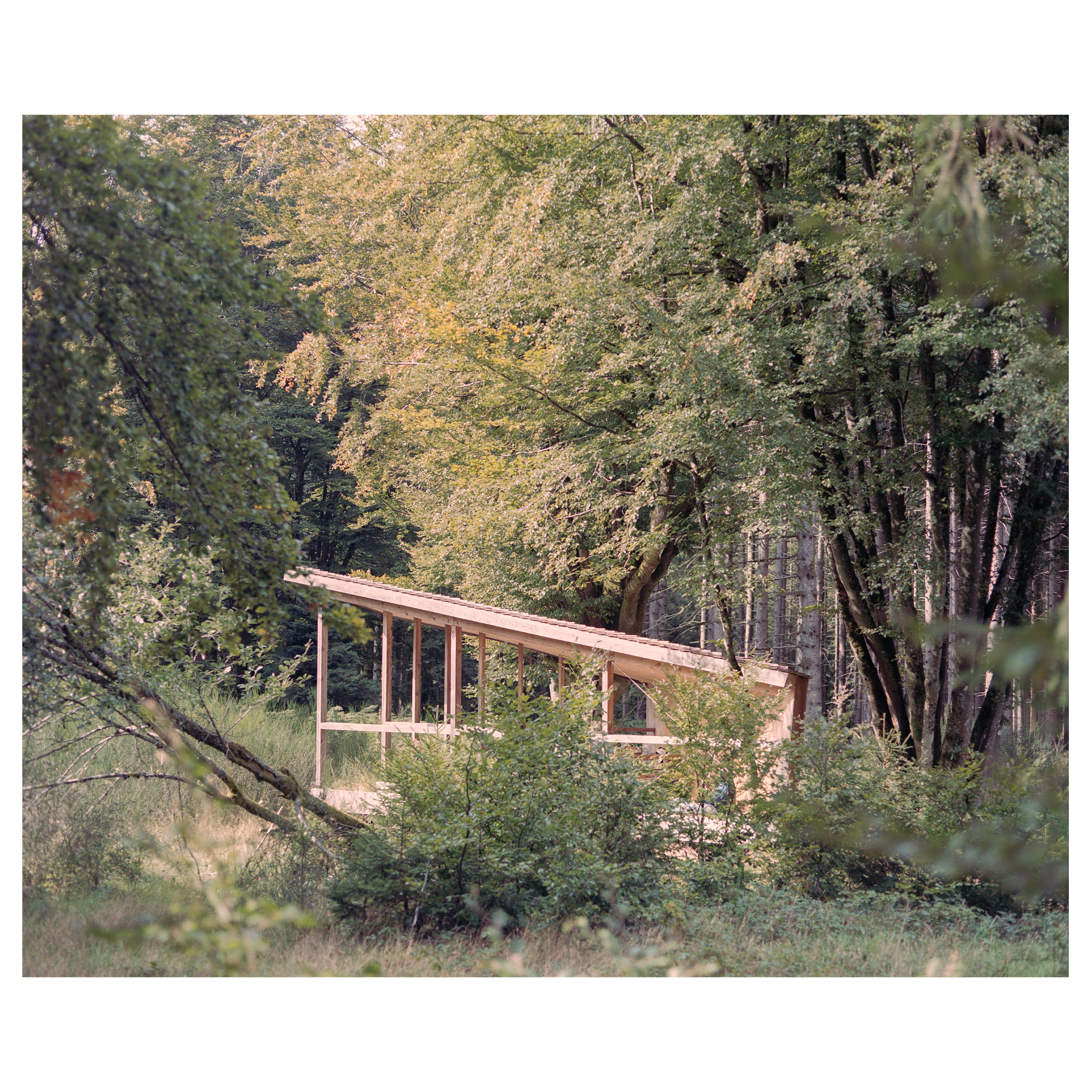 Photographie argentique de l'abris de randonnée au Donon, construit à la mémoire de Jean Maegey. Contexte lointain © Guillaume Porche