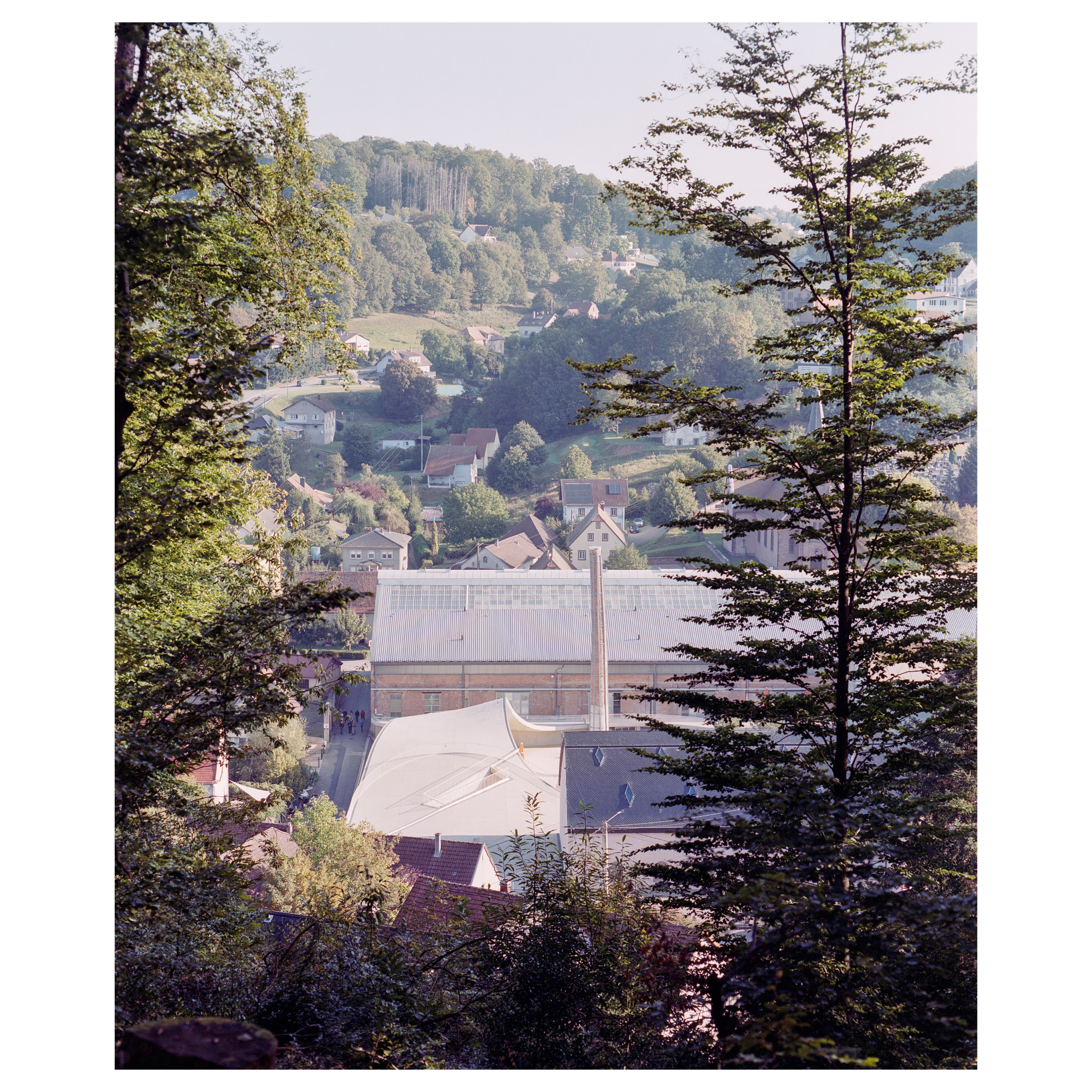 Photographie argentique du site verrier de Meisenthal (France) construit par les agences d'architectures SO-IL et Freaks. Le site verrier depuis la forêt © Guillaume Porche