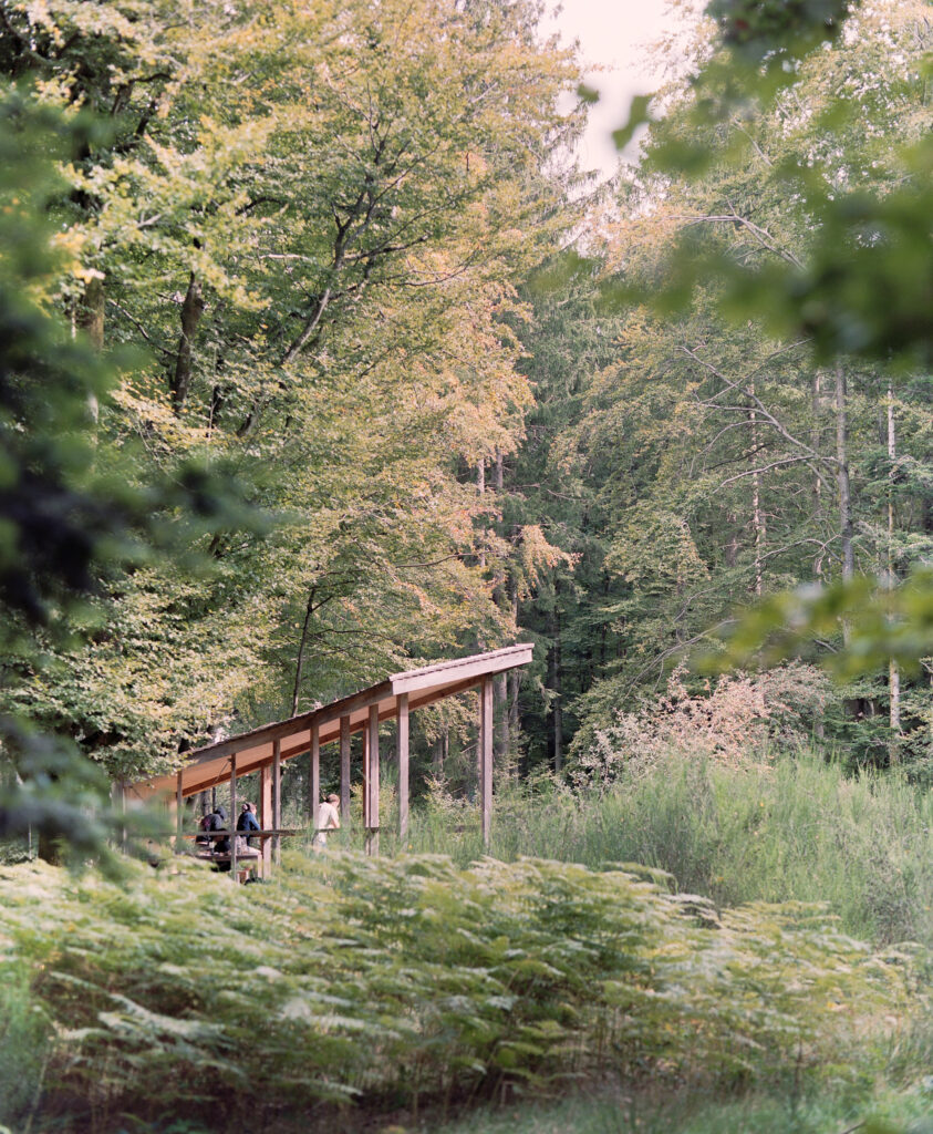 Photographie argentique de l'abris de randonnée au Donon, construit à la mémoire de Jean Maegey. Reportage photographique © Guillaume Porche