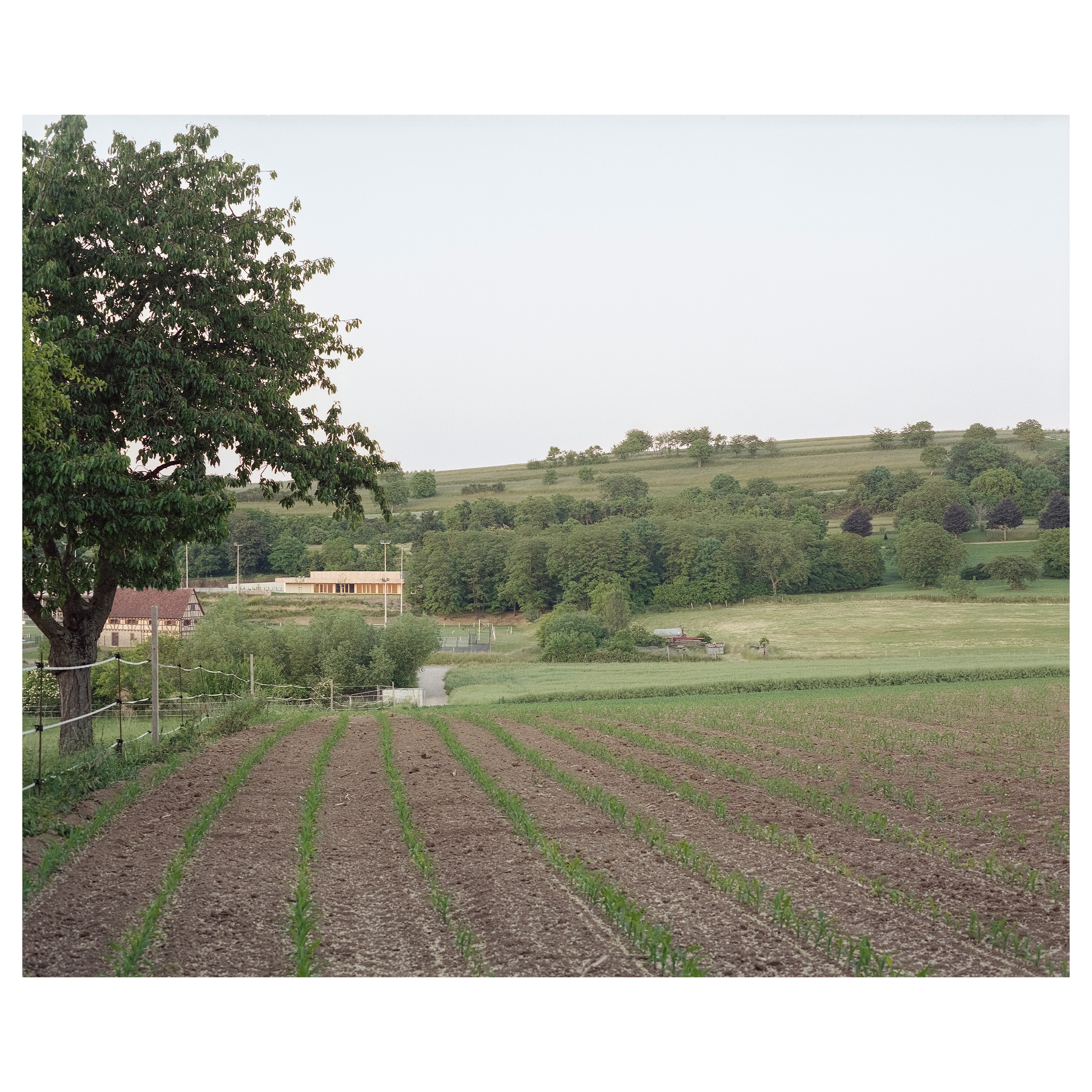 RSSW-guillaume_porche_salle_willgottheim-13