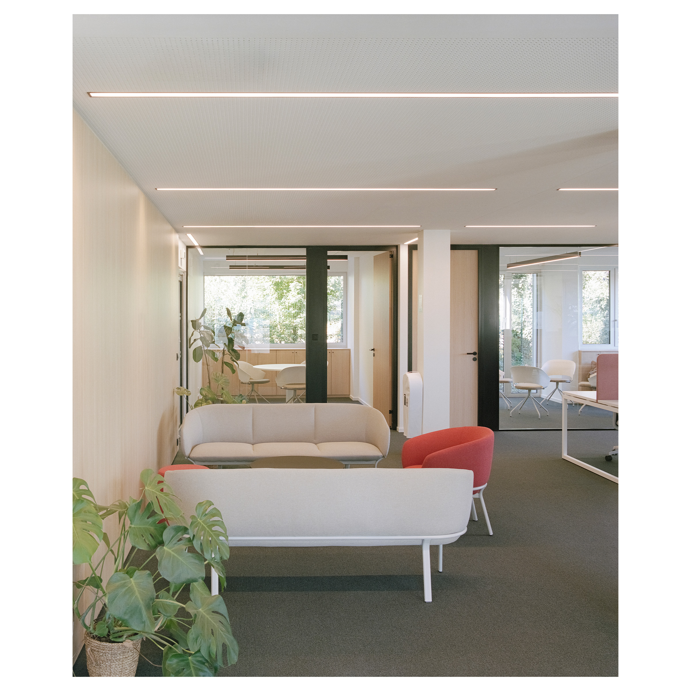 photographie photo argentique architecture bureau actua lang saint andré architecte strasbourg guillaume porche photographe