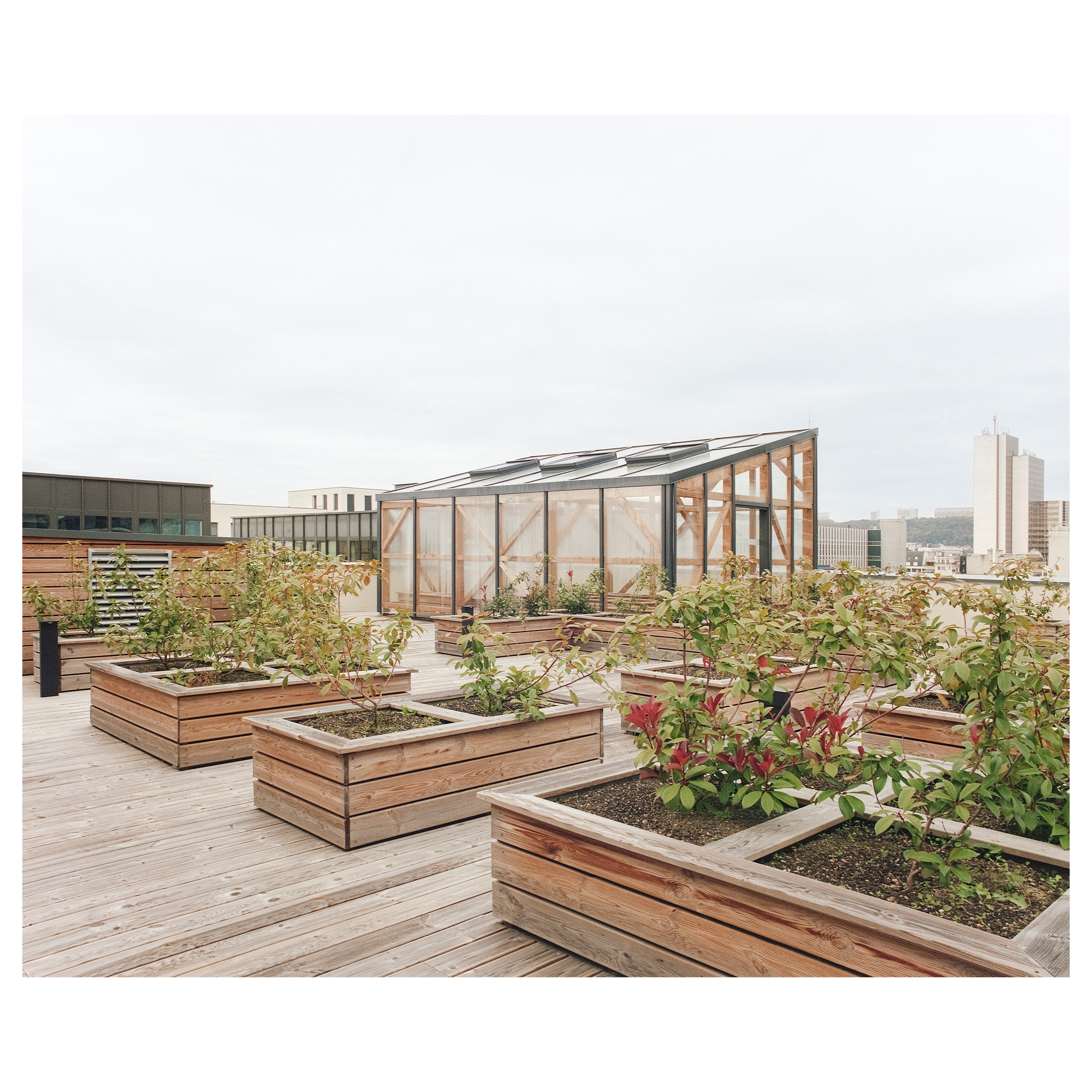 RSSW-guillaume_porche_bureaux_logements_grand_coeur_nancy-021