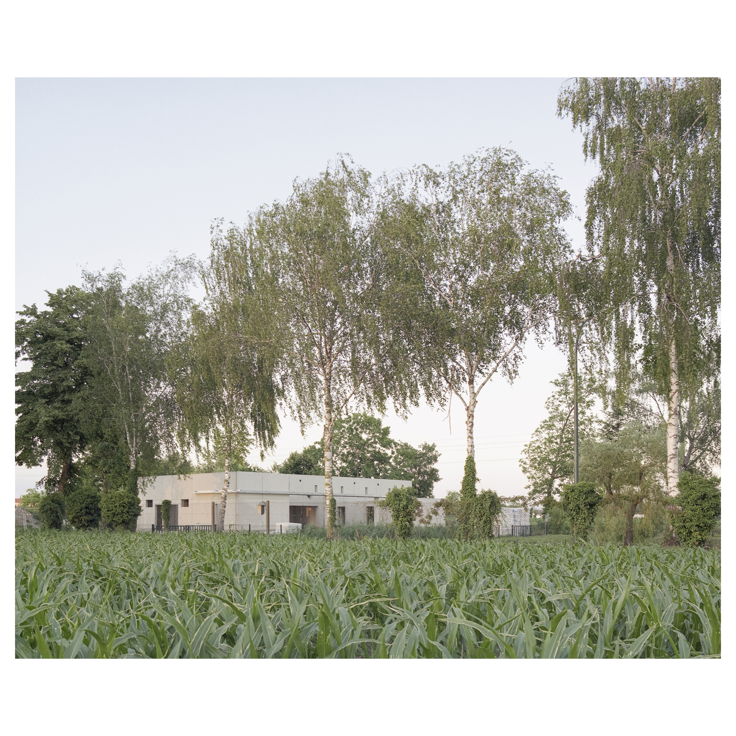 RSSW-guillaume_porche_house_mackenheim_mercrure-006