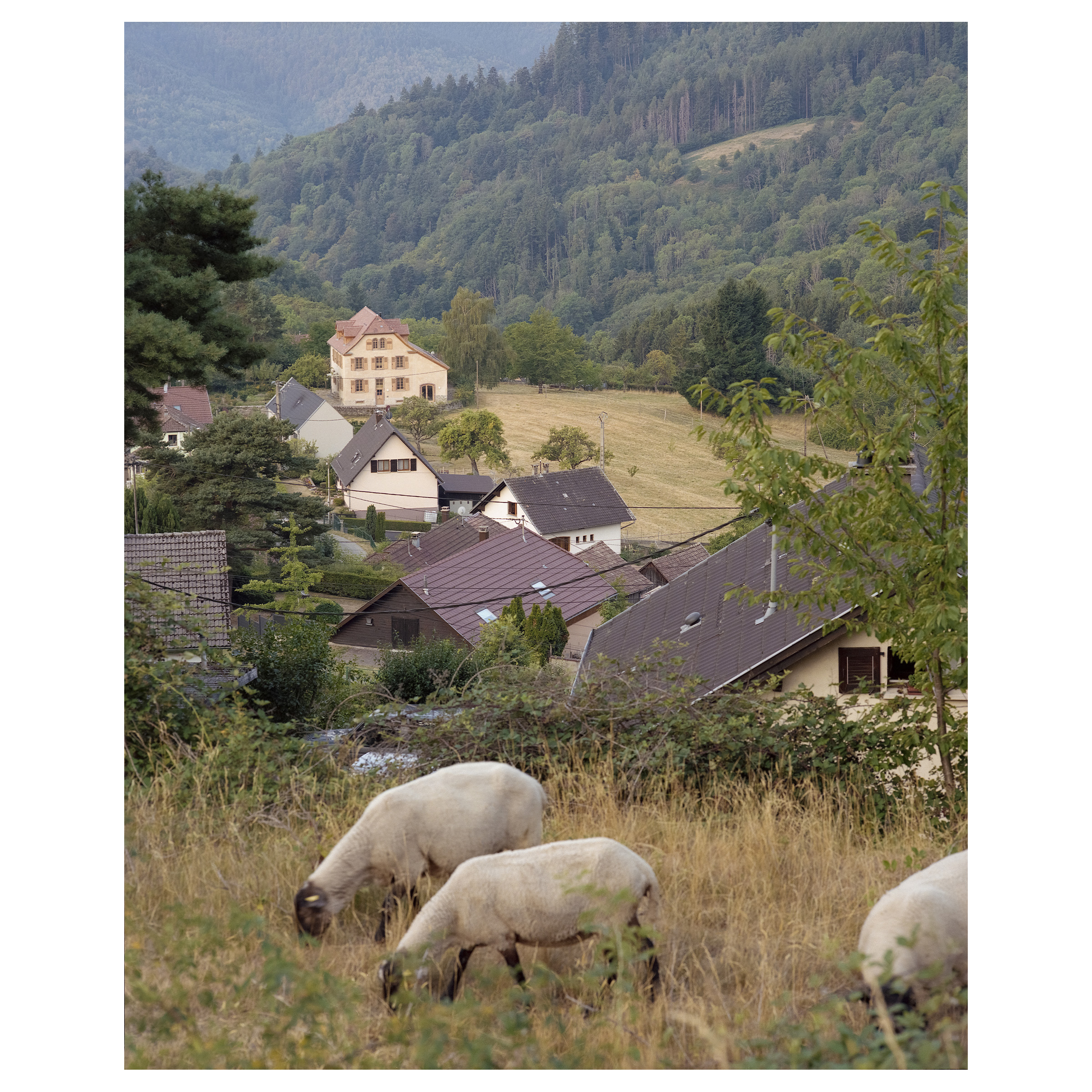 RSSW-guillaume_porche_geishouse_mayker_buob-003