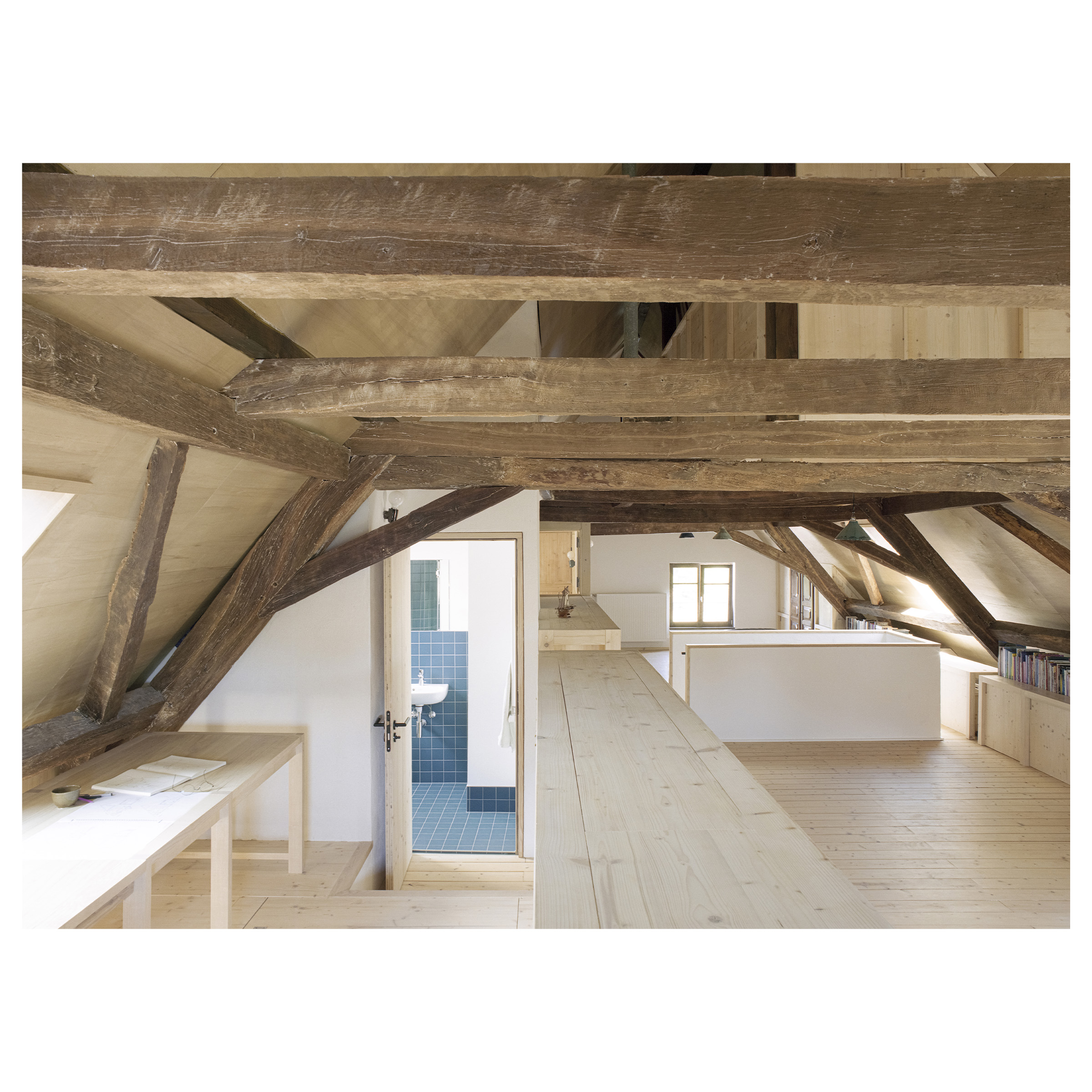 RSSW-guillaume_porche_sebastien_gaire_combles_schlierbach-019-1