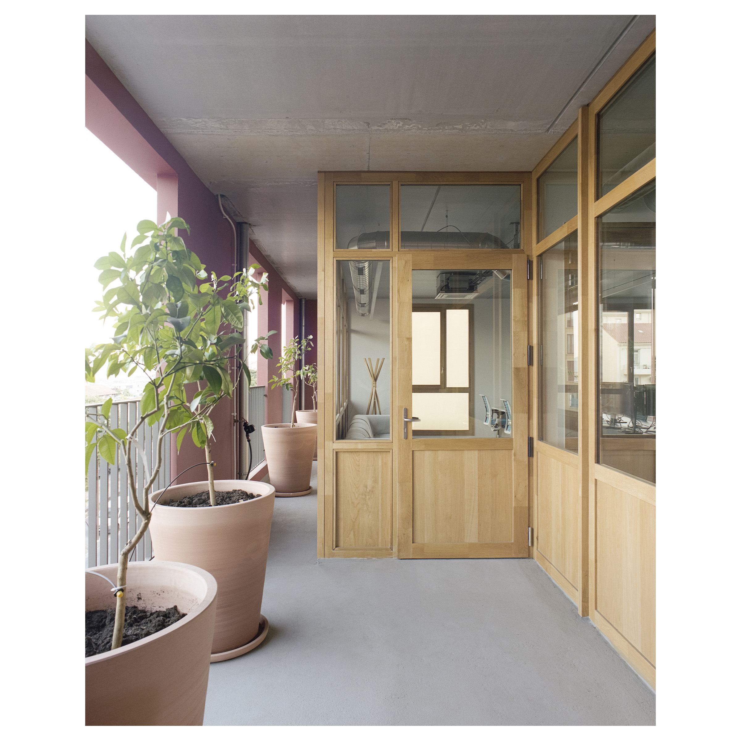 RSSW-guillaume_porche_alba_ajaccio_campusplex-034